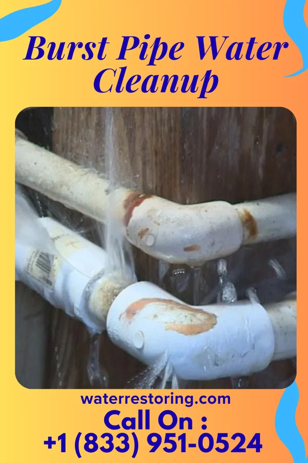Burst Pipe Water Cleanup in West Brattleboro, VT