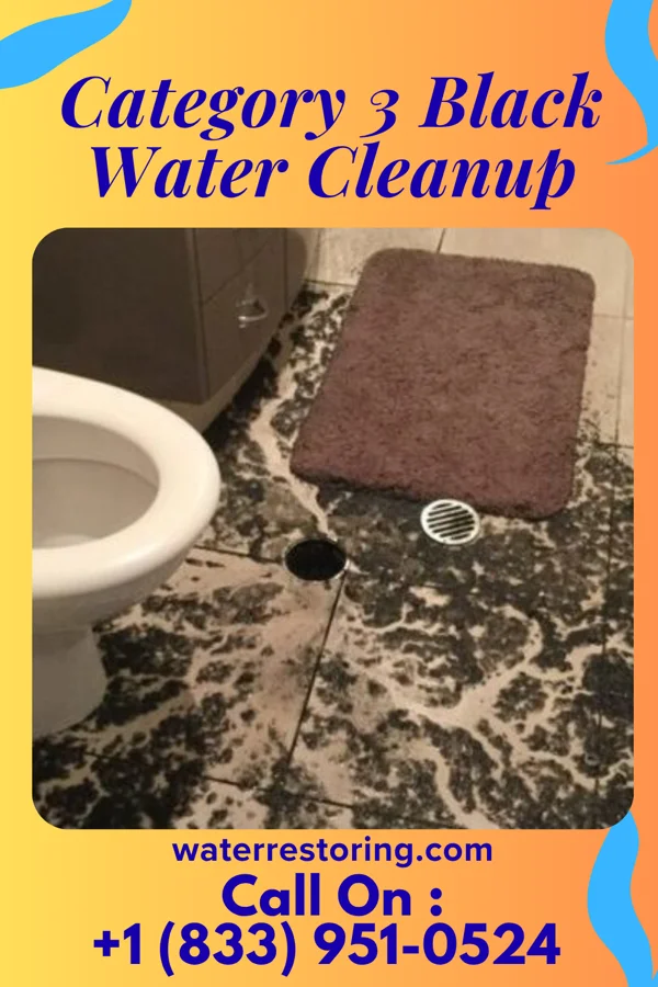 Category 3 Black Water Cleanup in West Brattleboro, VT