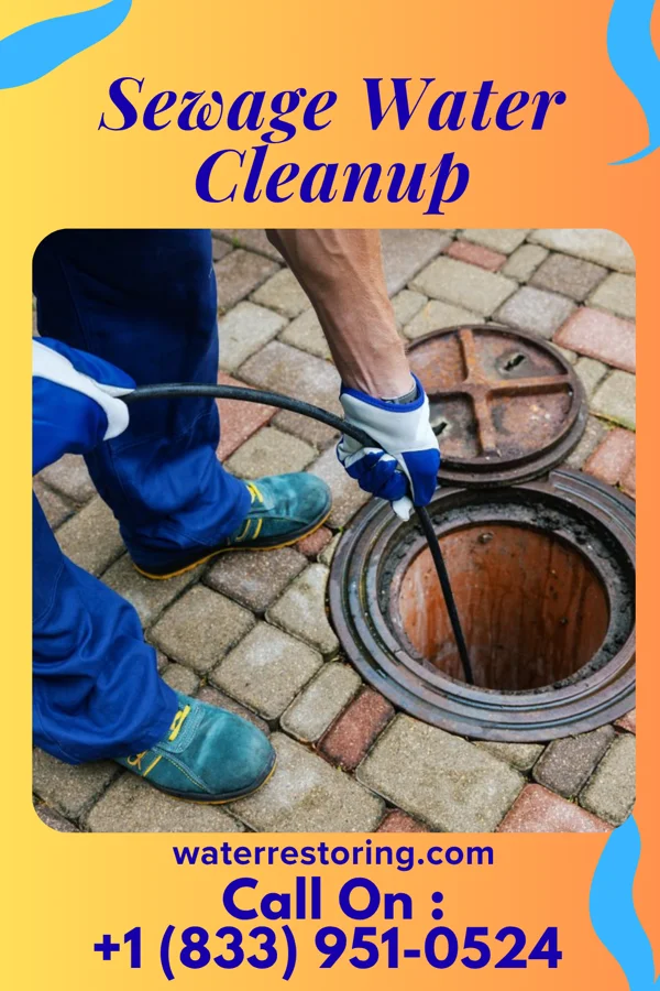 Sewage Water Cleanup in West Brattleboro, VT