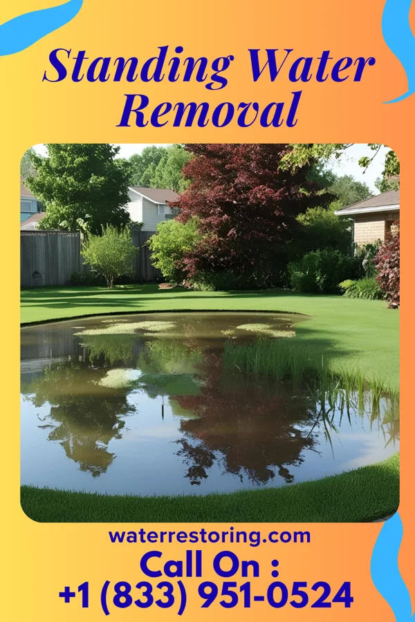Standing Water Removal in West Brattleboro, VT